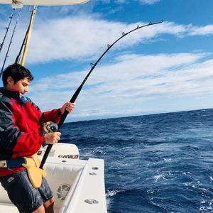 Meet your Posher, Jose